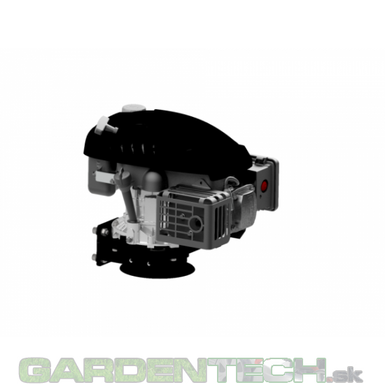 AGZAT servisný motor RATO RV225 4-takt OHV - S02007800